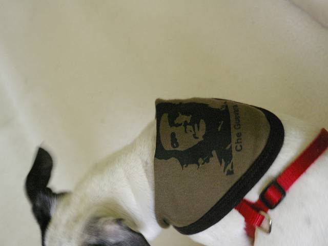 k_IGP3624.JPG